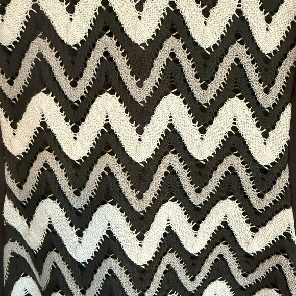 Chic Black & White Chevron Panel Dress - Picture 2 of 5